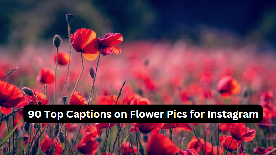 90 Top Captions on Flower Pics for Instagram